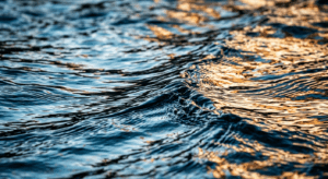 Wasser