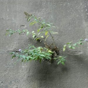 IMG-20261019-WA0001(1)