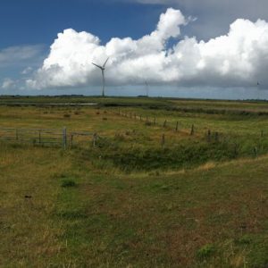 Rundblick auf Föhr