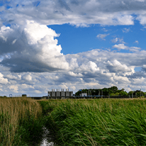 Drieborg NL